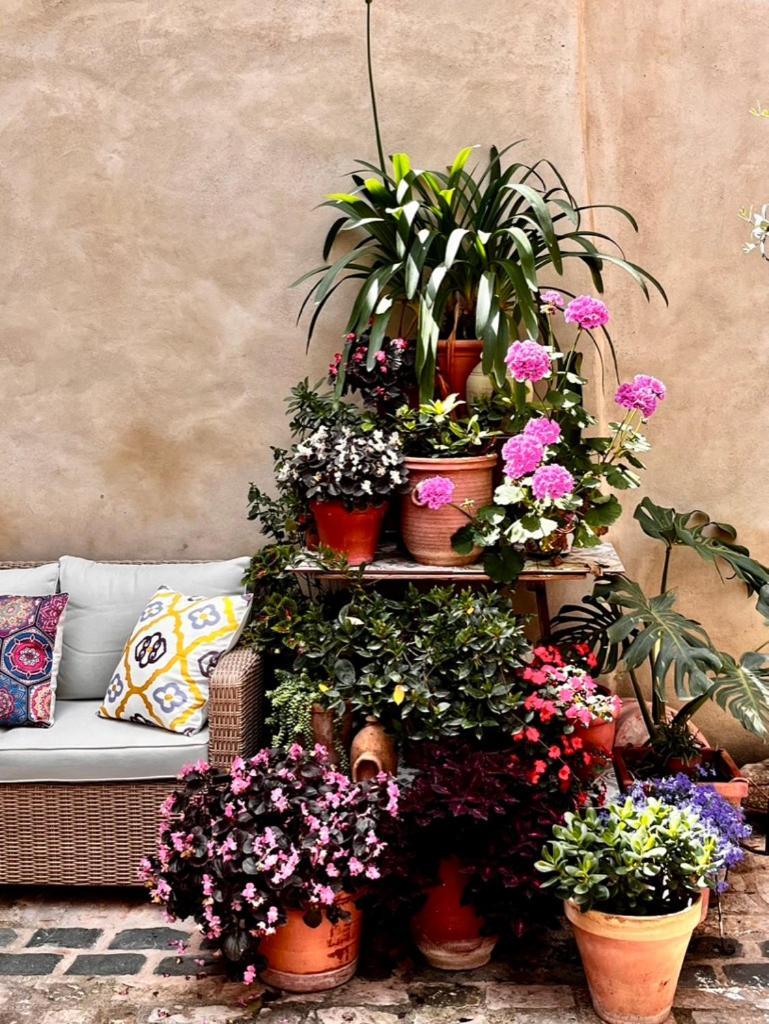 Oliva Courtyard Guesthouse المظهر الخارجي الصورة