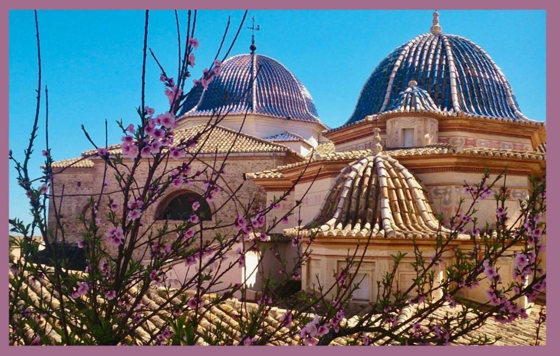 Oliva Courtyard Guesthouse المظهر الخارجي الصورة